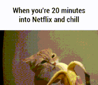 netflix and chill GIF