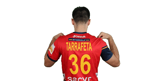 rfebalonmano giphyupload handball spain espana Sticker
