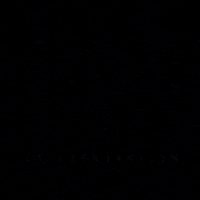 cafesenork cafe cafedeespecialidad cafedeorigen señork GIF