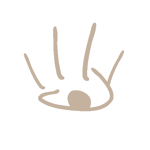 adisonculver giphyupload eye boho neutral Sticker