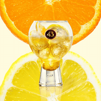licor 43 weekend GIF