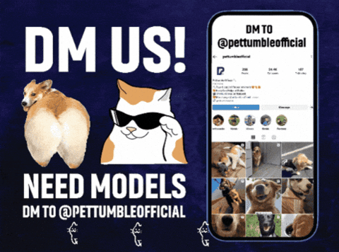 GIF by Pettumble.com