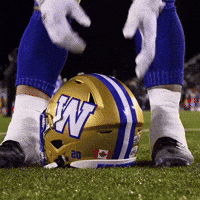 Blue Bombers Helmet GIF