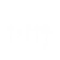 Yeah Yeah Summer Sticker
