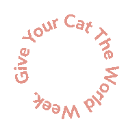 cat exploring Sticker by Catexplorer