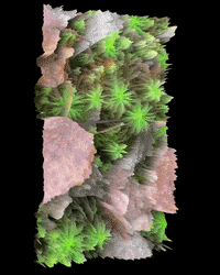 Art Morph GIF by Aleksey Efremov