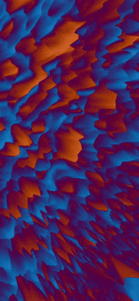 Art Morph GIF by Aleksey Efremov