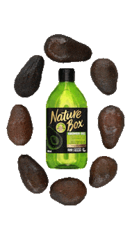 avocado haircare Sticker by Henkel Beauty Care SBU