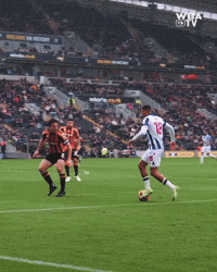 West Brom Championship GIF by West Bromwich Albion