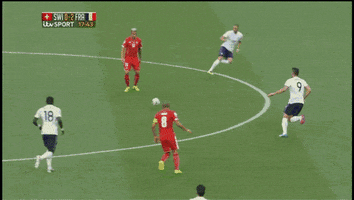 france world GIF
