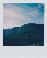 nathankylosaure nature ghost polaroid nathankylosaure GIF