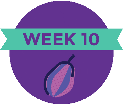 Pregnancy Baby Size Sticker by What to Expect