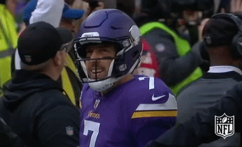 Minnesota Vikings Football GIF by NFL