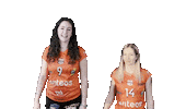 Celebration Sticker by NUCVolleyball