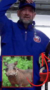New York Coach GIF