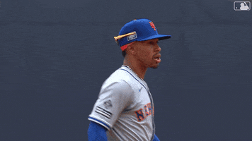 Celebrate London GIF by New York Mets