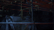 resident evil nemesis resident evil 3 nemesis GIF