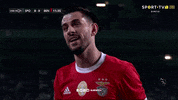 No Way Slbgif GIF by Sport Lisboa e Benfica
