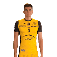 Janus Sticker by PGE Skra Bełchatów