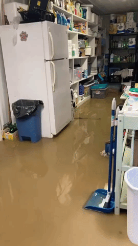 Dogs in Flooded Eastern Kentucky Shelter 'Unhappy and Very Upset'