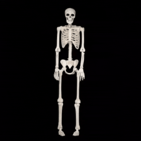 Skeleton GIF
