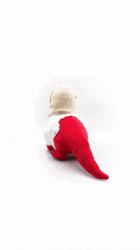 Falin Laois GIF by Youtooz