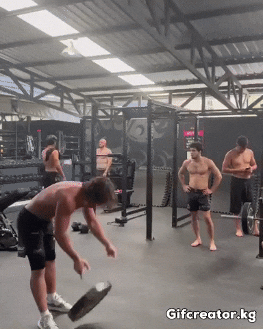 Bars GIF