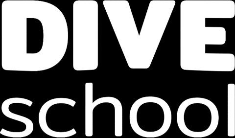 diveschool giphygifmaker scuba diving diving school grevelingen GIF