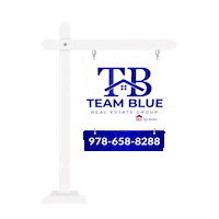 teambluerealestate team blue team blue real estate group Sticker