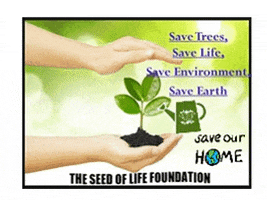 Food Save GIF by The Seed of Life Foundation