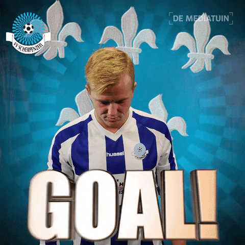 Voetbalvereniging_Scherpenzeel voetbal bal blauwwit hoofdklasse GIF