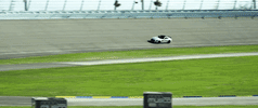 no te enamores GIF by Paloma Mami