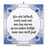 Humor Nl GIF by Tegelspreuken.nl