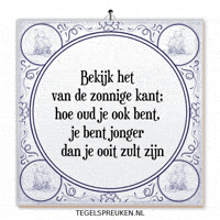 Humor Nl GIF by Tegelspreuken.nl
