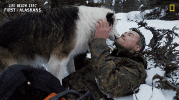 Nat Geo Love GIF by National Geographic Channel