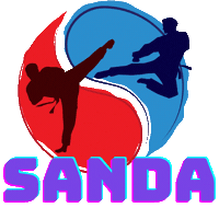 Sora Sticker by Champion Training Sanda Martial Art