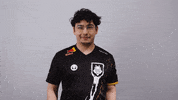 League Of Legends Lol GIF by G2 Esports