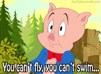 porky pig GIF