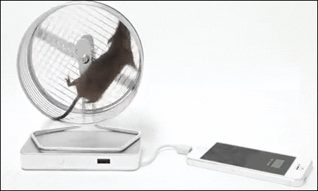 Mice Chargers GIF