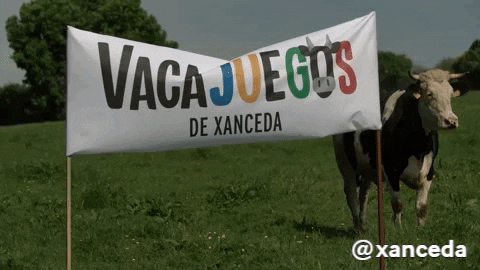 Cow Vaca GIF by xanceda