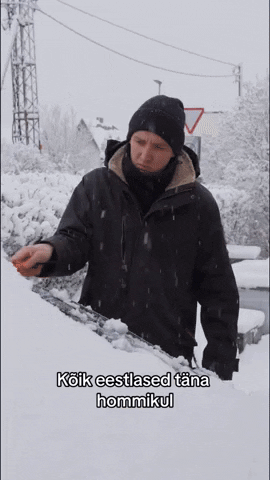 FINALBOSSMEDIA giphyupload GIF
