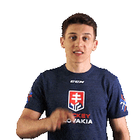 hockey ok Sticker by Pilsner Urquell