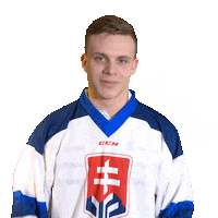 hockey yes Sticker by Pilsner Urquell