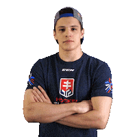 hockey pivo Sticker by Pilsner Urquell