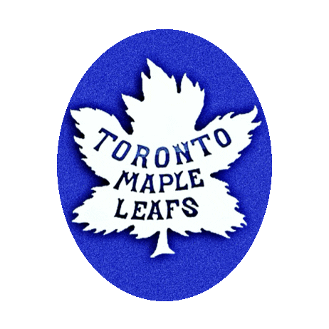 Toronto Maple Leafs Hockey Sticker by imoji