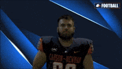 Cnfb GIF by Carson-Newman Athletics