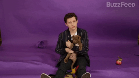 Spider-Man Marvel GIF by BuzzFeed