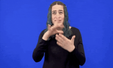 Asl Decide GIF