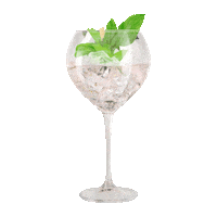 gincarmela gin copa canarias gintonic Sticker