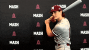 Baseball Win GIF by MASH Athletics